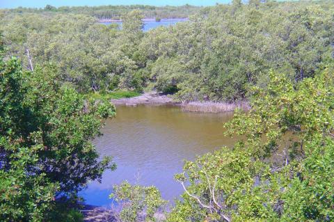 Banco Chinchorro, Mexico