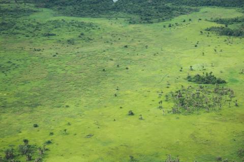 Beni Savanna panorama, Bolivia