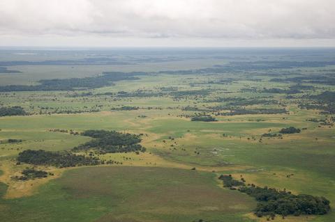 Beni Savanna panorama, Bolivia