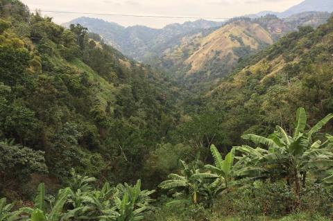 Blue Mountains, Jamaica