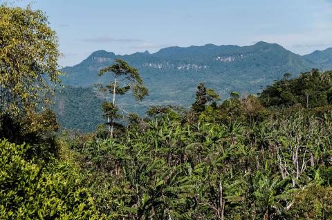 Penas Blancas, part of the Bosawás Reserve, Jinotega Department, Nicaragua