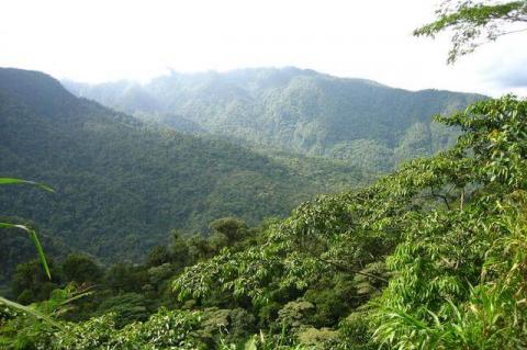 Patria Canyon, Parque Nacional Braulio Carrillo, Costa Rica