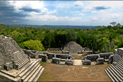 Panorama from atop Caracol, Belize