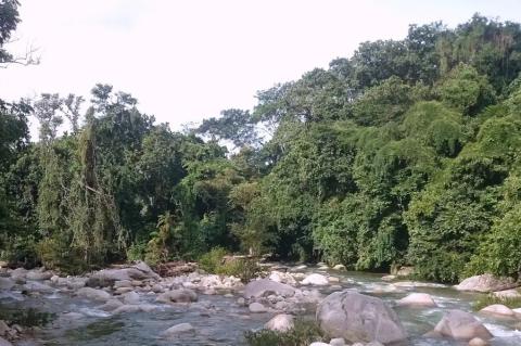 Ciénagas del Catatumbo National Park, Venezuela