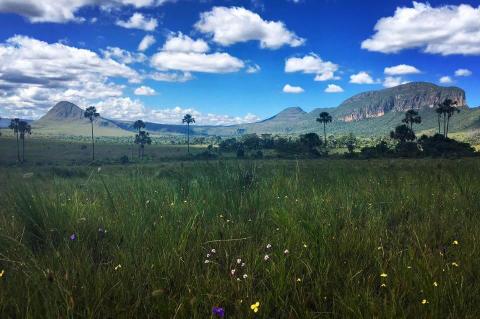 View from Chapada dos Veadeiros National Park, Brazil