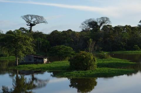 View from the Indigenous village near Leticia, Colombia