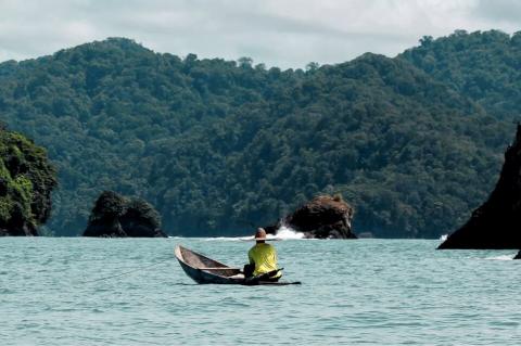 Colombian Pacific coast