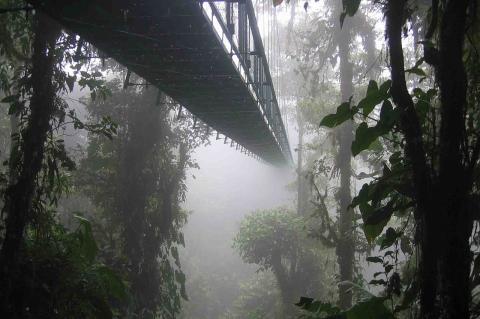 Suspension bridge in Puerto Viejo de Sarapiqui, Costa Rica