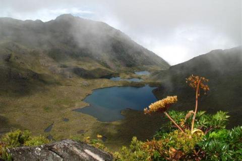 Costa Rican Páramo panorama