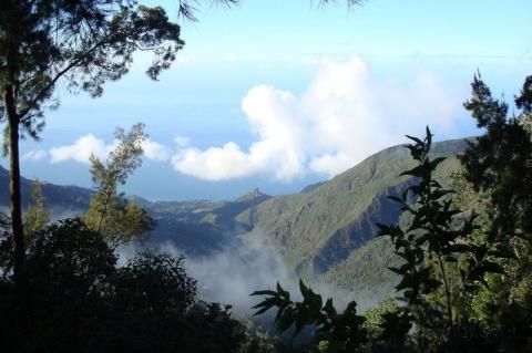 View of El Ávila National Park, Caracas, Venezuela