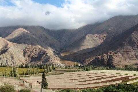 Vineyard terraces, Elqui Valley, Chile