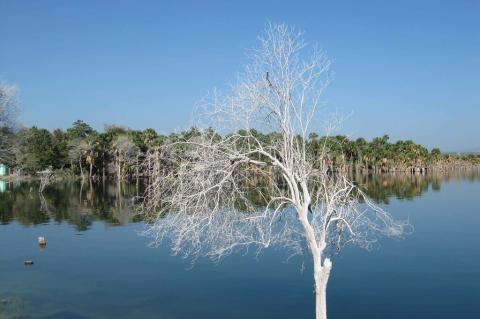 Lake Etang Saumatre, Haiti