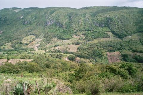 Pine-oak forest fragmentation due to logging in Celaque National Park, Honduras