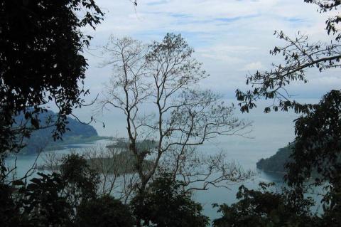 View of the Golfo Dulce (beyond the peninsula), in southern Costa Rica