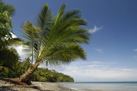 Beach on island of Gorgona, Colombia