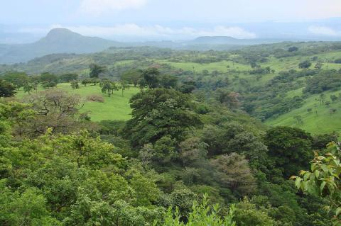 A Guanacaste Portrait From Bella Vista Lodge, Liberia (Costa Rica)