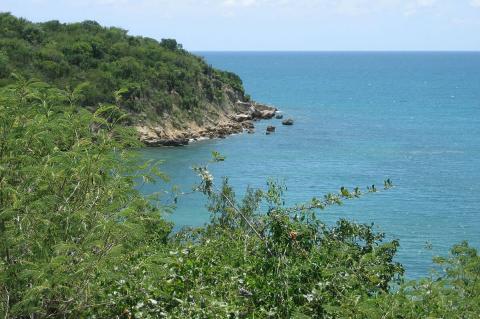 Guánica State Forest, Puerto Rico
