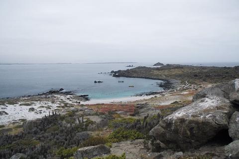 Damas Island. Humboldt Penguin National Reserve, Coquimbo Region, Chile.