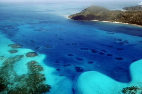 Coral Reefs at Providencia island, , Colombia
