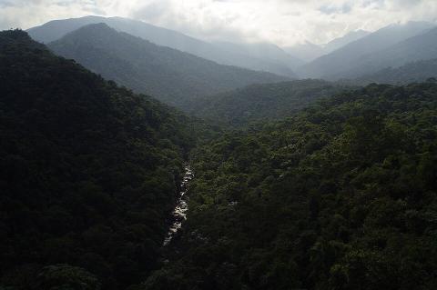 Serrinha do Alambari mountain range, Itatiaia National Park, Brazil