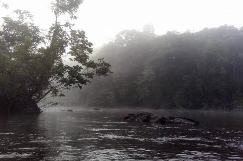 Tumucumaque Mountains National Park in the morning, when low surface temperatures and high humidity cause the appearance of fog, seen from the Jari River