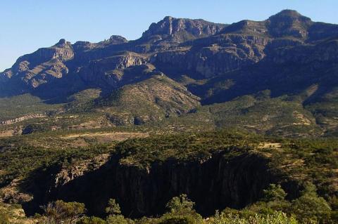 Core area of ​​the La Michilía Biosphere Reserve (Mexico)