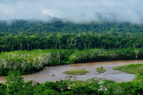 River flowing through Madidi National Park, Bolivia