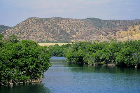 Mangrove coastline, Granma National Park, Cuba
