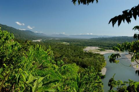 Manú National Park, Peru