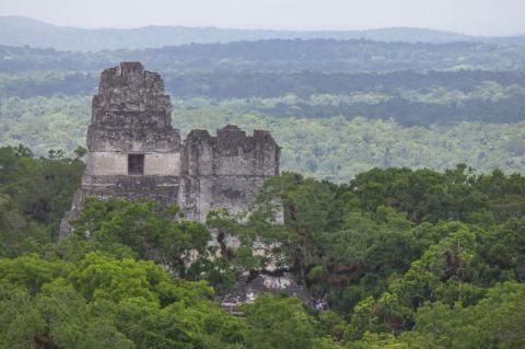 Maya forest, Guatemala