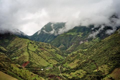 Cloud forest, Mindo Valley, Ecuador