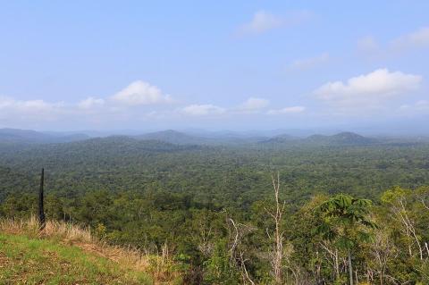 Lookout on Tiger Fern Trail, Cockscomb Basin Wildlife Sanctuary, Belize
