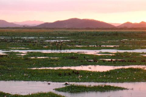 Palo Verde National Park, Guanacaste, Costa Rica