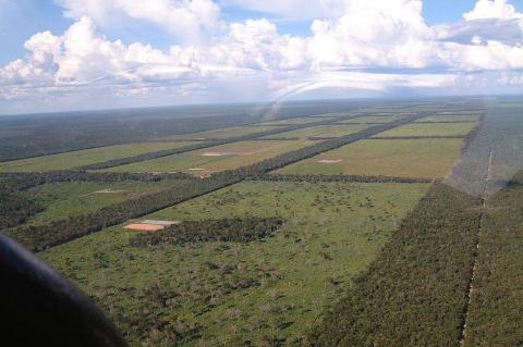 Northern Paraguay Chaco aerial