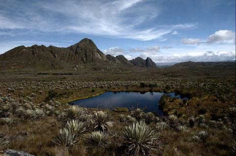 Páramo de Sumapaz, Colombia
