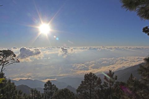 Montaña de Celaque National Park (Honduras)