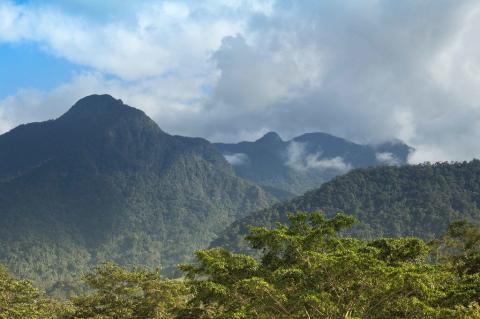 Pico Bonito National Park, Honduras