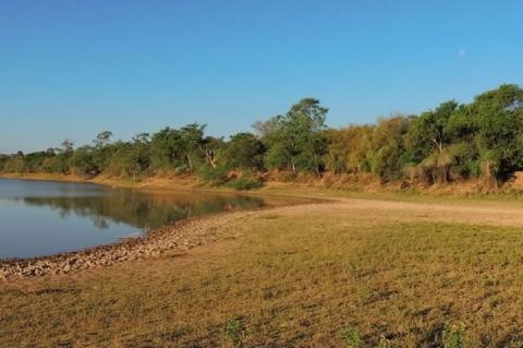 Riacho Teuquito Natural Reserve, Argentina