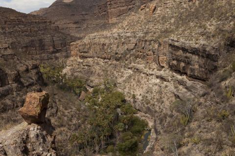 San Pablo Canyon, Sierra de San Francisco, Baja California Sur, México