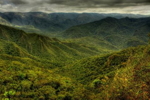 Mata Atlântica, Serra da Gandarela, Brazil