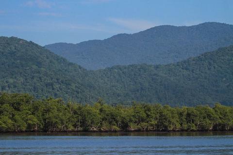 Serra do Mar: Atlantic Rainforest and mangroves, Guarujá, Brazil