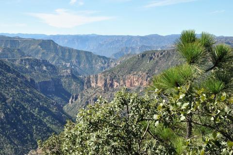 Sierra Madre Occidental, looking across Rio San Ignacio from near the village of Guajurana