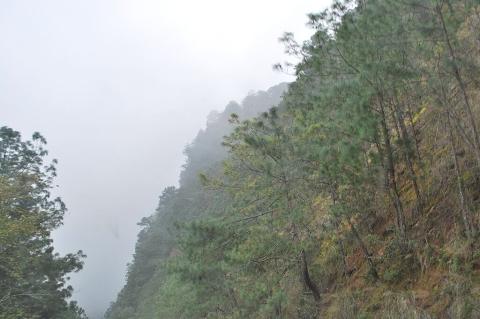 The Sierra Norte de Puebla, with Sierra Madre Oriental pine-oak forests vegetation