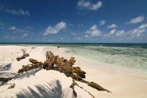 Gladden Spit and Silk Cayes Marine Reserve, Silk Caye, Belize