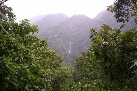 Waterfall in Tapantí National Park, Costa Rica