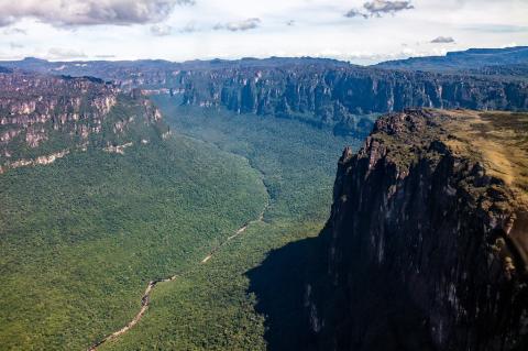 Pantepui forests and shrublands, Canaima, Venezuela