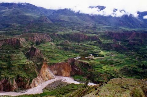 Terraces along Colca Canyon, Peru