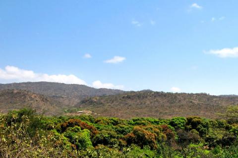Tumbes Amotape, Peru