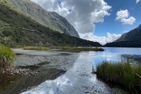 Uku Trail at 3,160 m (10,367 ft) asl, Llaviucu Lagoon, el Cajas National Park, Ecuador