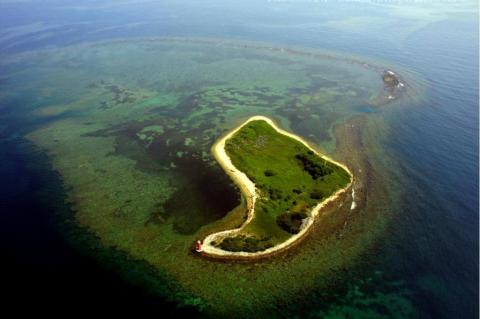 Veracruz reef system, Mexico